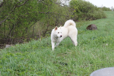 DSC00189.JPG