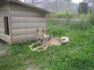 DSC03085.JPG