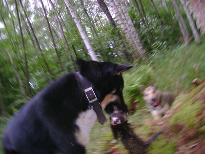 DSC04435.JPG