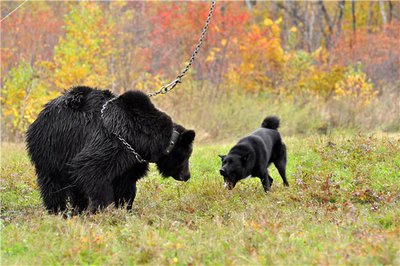 cc5d522b3959[1].jpg