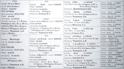 Вест х Вытегра.JPG