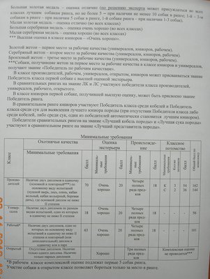 DSCN0958.JPG
