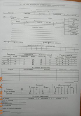 DSCN0959.JPG
