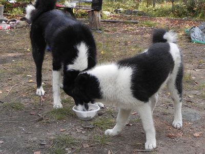 DSCN6130.JPG
