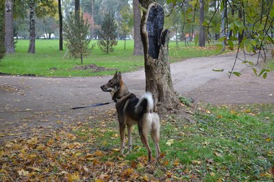 DSC_0481.JPG